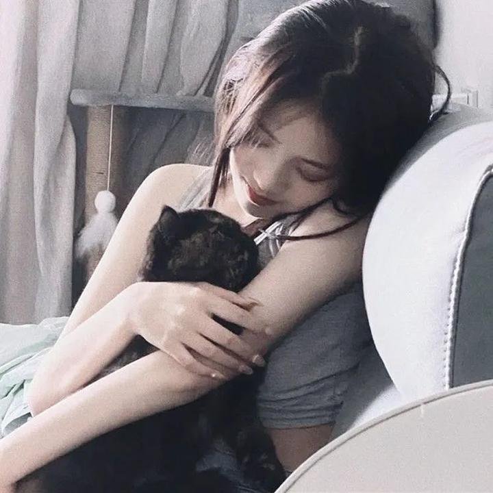 百战雄狮
